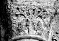 files/carvers/thumbs/Palmier II-1.jpg